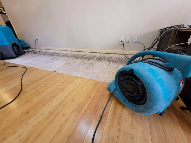 Professional Flood Damage Cleanup technician working in Bodfish, CA